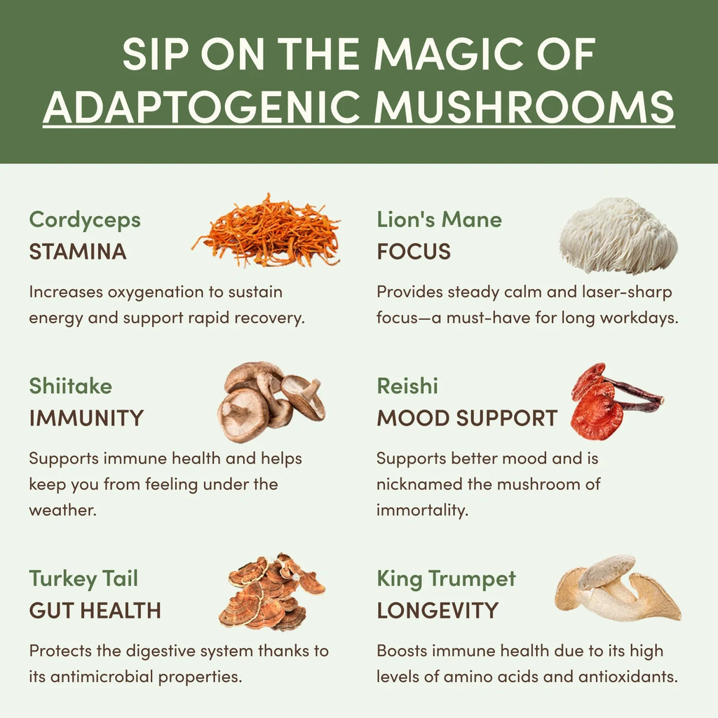 Mushroom Matcha Starter Kit (60 Servings)