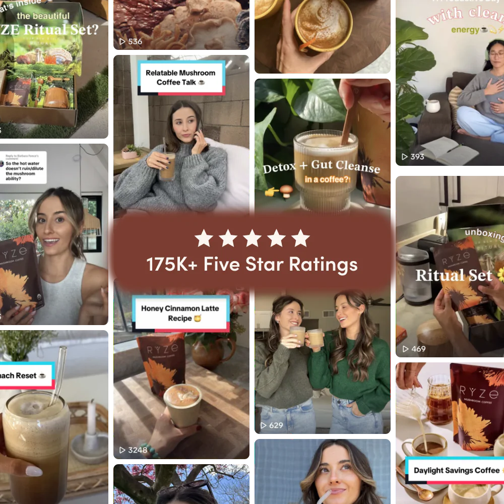 Mushroom Coffee Dark Roast Starter Kit (60 servings)