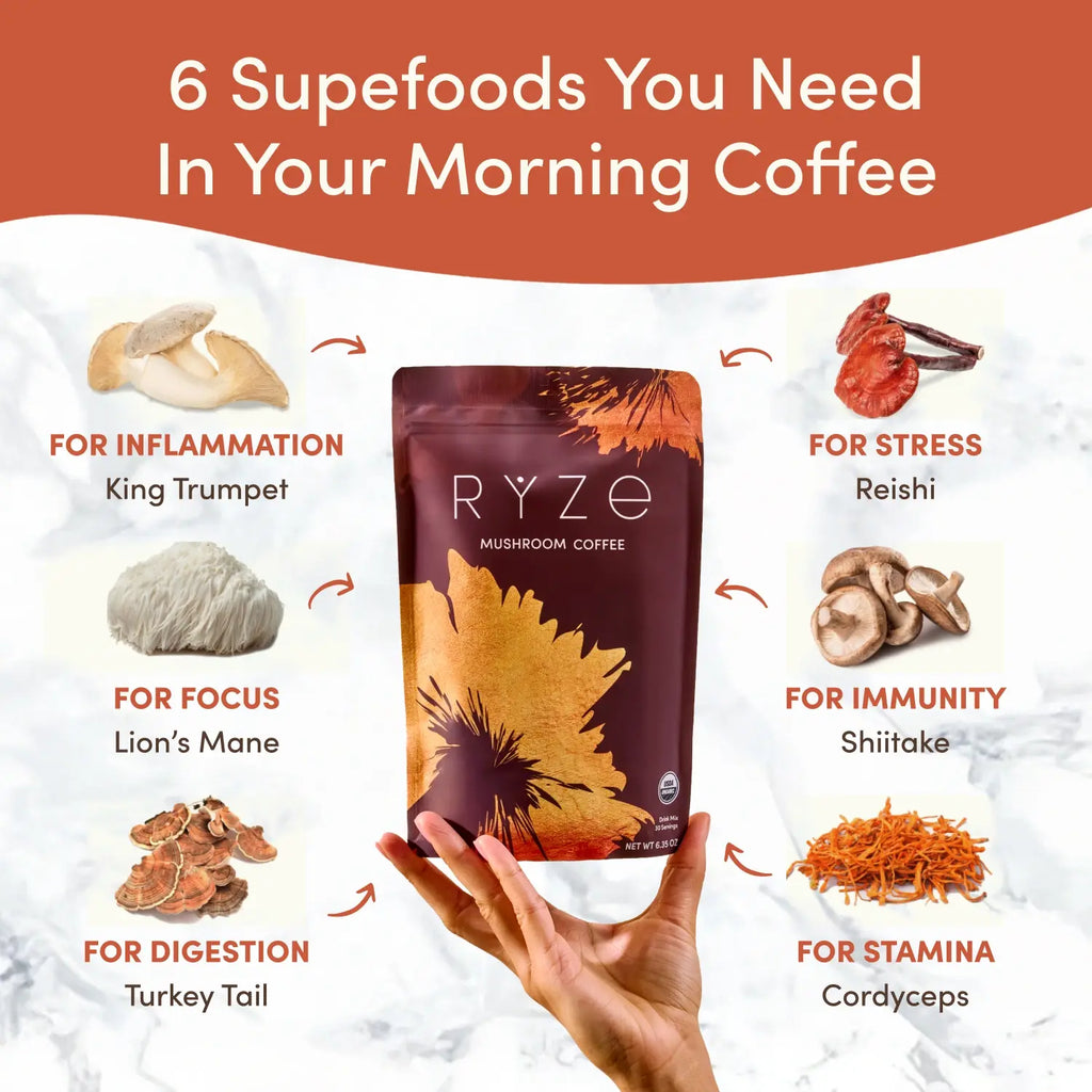 Mushroom Coffee (1 pack - 30 Servings)