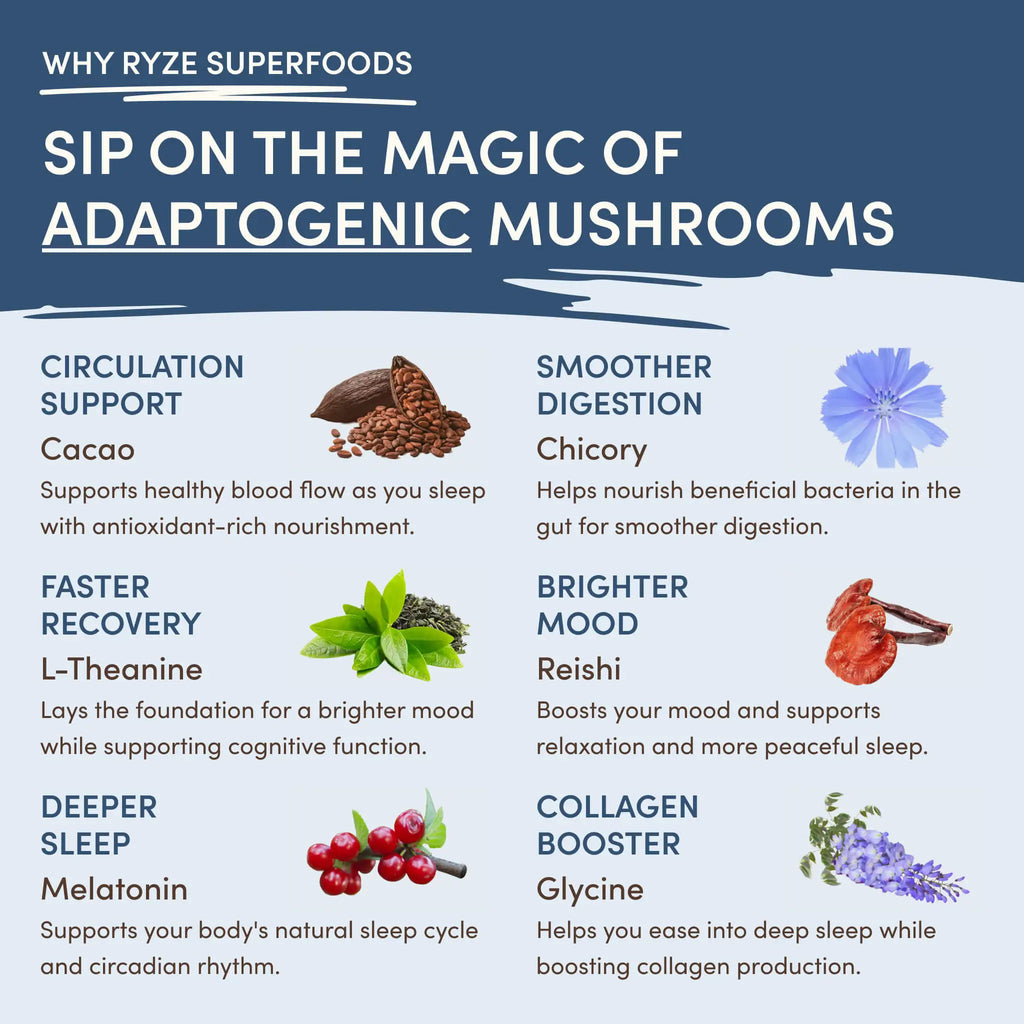 Day + Night Bundle (Coffee + Cocoa)