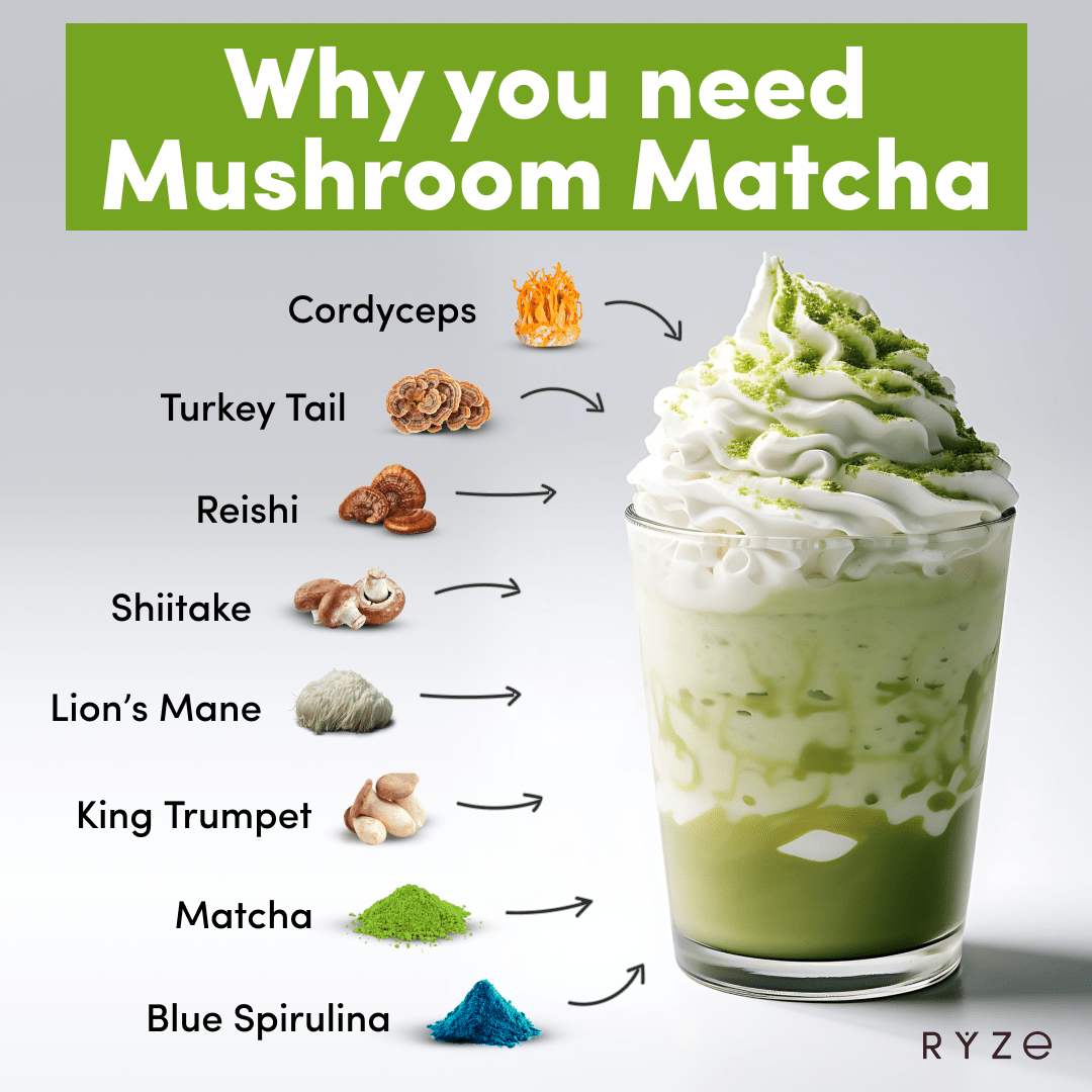 RYZE Organic Mushroom Matcha Starter Kit (60 servings)